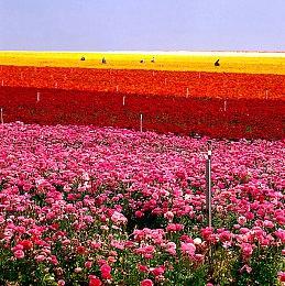 《北欧女神 蕾娜斯》PS4＆5移植版 将于9月29日推出